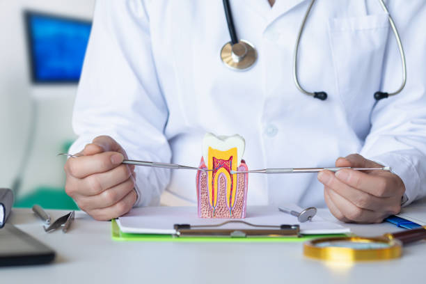 Best Broken or Chipped Tooth Repair in Ramblewood, NJ